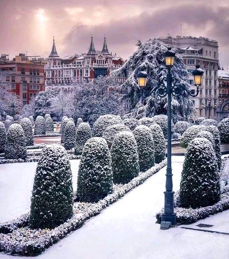 Beautiful Nature image