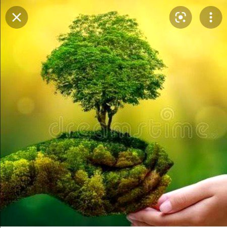 Beautiful Nature image