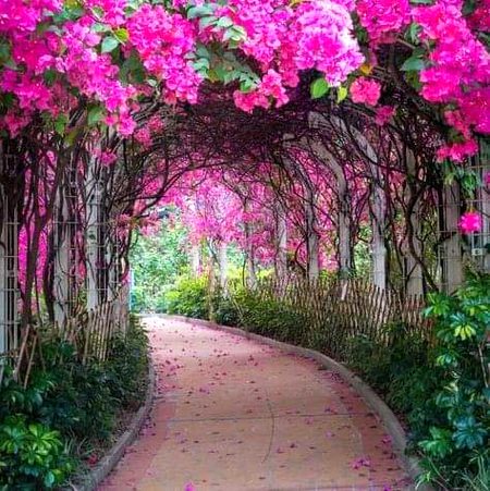 Beautiful Nature image