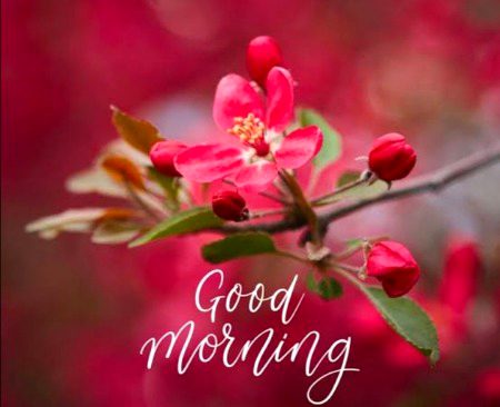 Beautiful Nature image