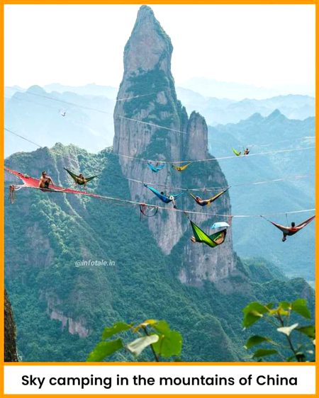 Beautiful Nature image