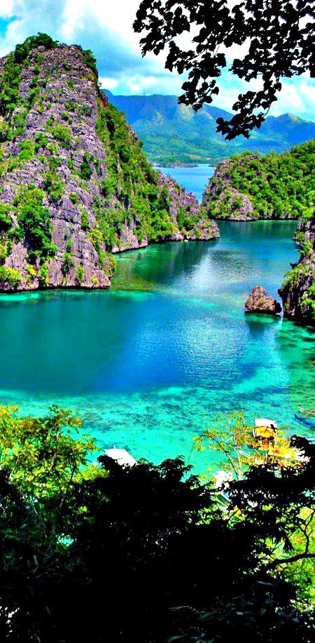 Beautiful Nature image
