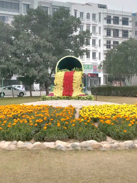 Beautiful Nature image