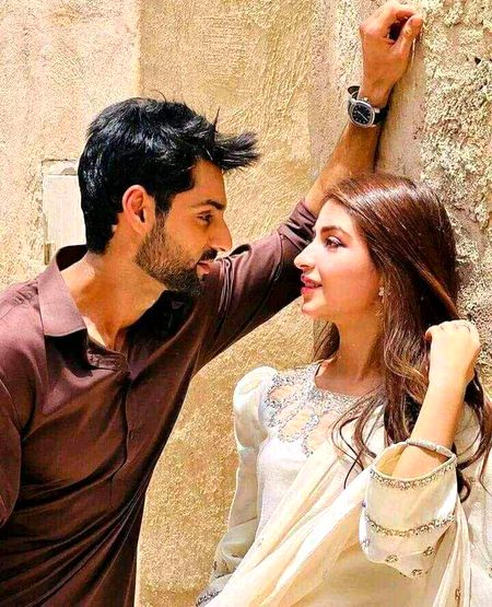 Pakistani Celebs image