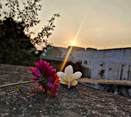 Beautiful Nature image