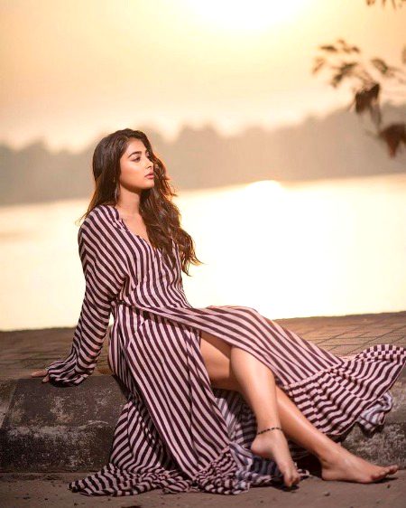 Indian Celebs image