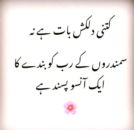 Islamic Quotes image