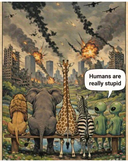 Memes & Satire image