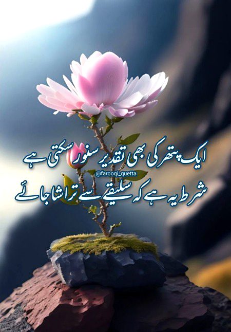 Wo mahir ap ho Saanaam❣️❣️