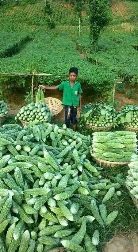 Beautiful Nature image