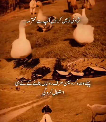 Jokes image