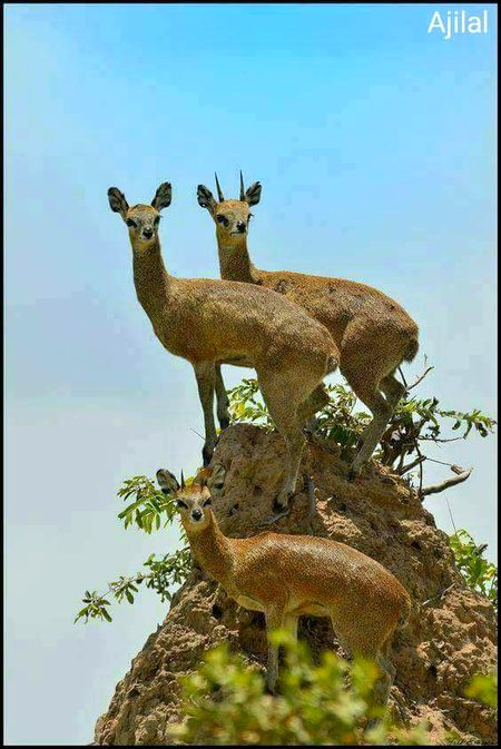 Beautiful Nature image