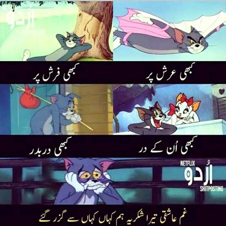 Memes & Satire image