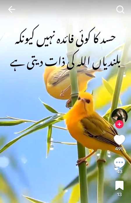 Motivational Quotes image