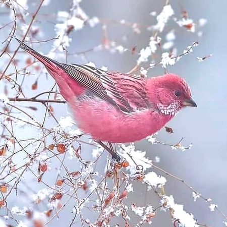 Beautiful Nature image