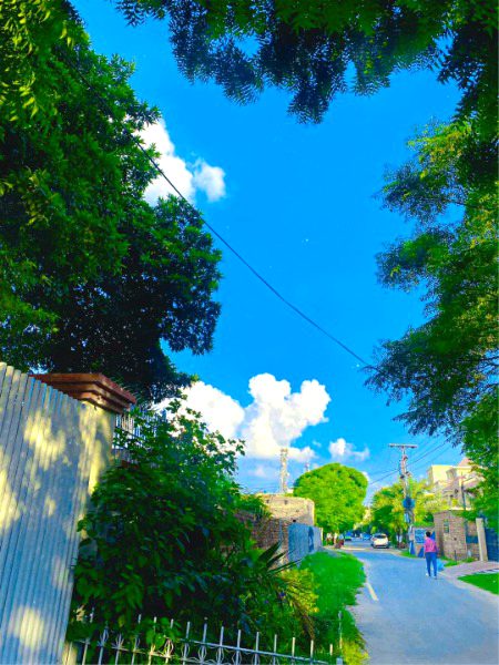 Beautiful Nature image