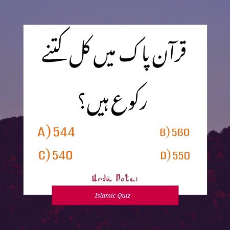 Knowledge Test image