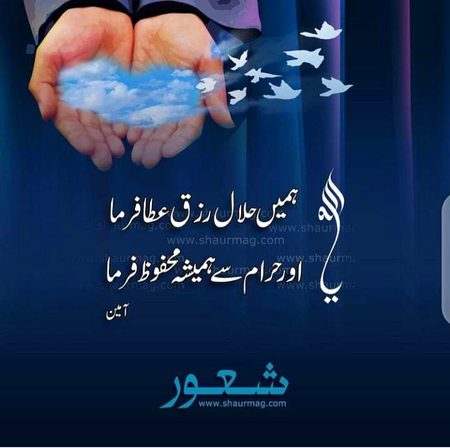 .q3🌷🌷🌷🌹  
🌷🌷🌷🌷
🌻🌺🌼🌷🌷 Ameeen🌷🌷🏵🌹