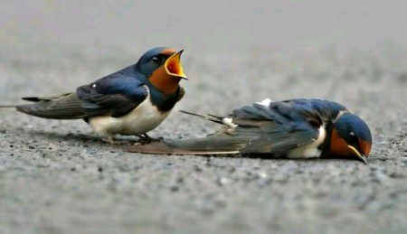 Beautiful Nature image