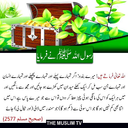 Islamic Quotes image