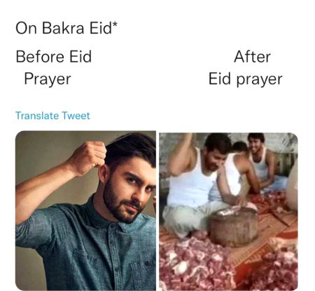 Memes & Satire image