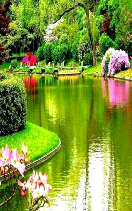 Beautiful Nature image