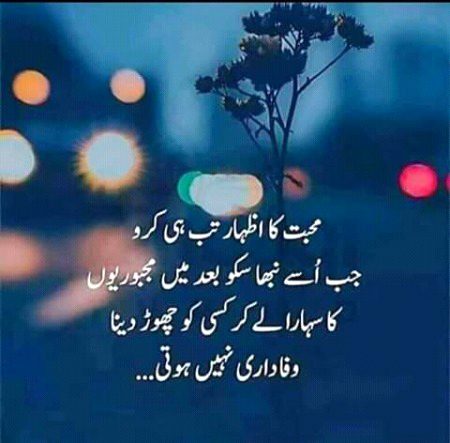 🌹🍀🌷🌹🍀🌷🌹🍀🌷🌹🍀🌷