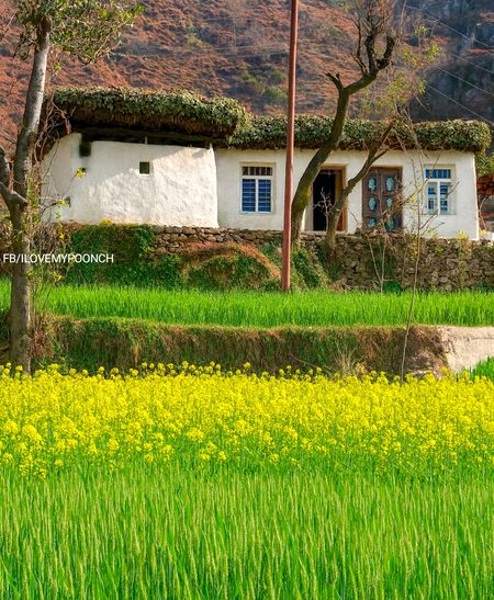 Beautiful Nature image