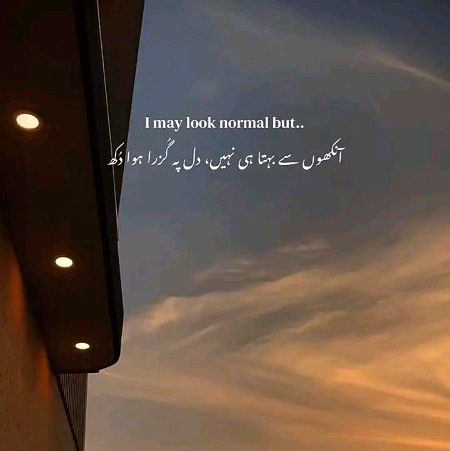 جو آنسو آنکھوں سے بہتے نہیں وہ جگر کو چھلنی کرتے ہیں 🖤