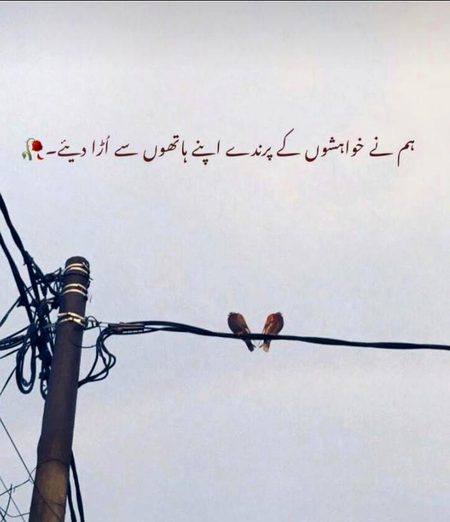 Sad Poetry image