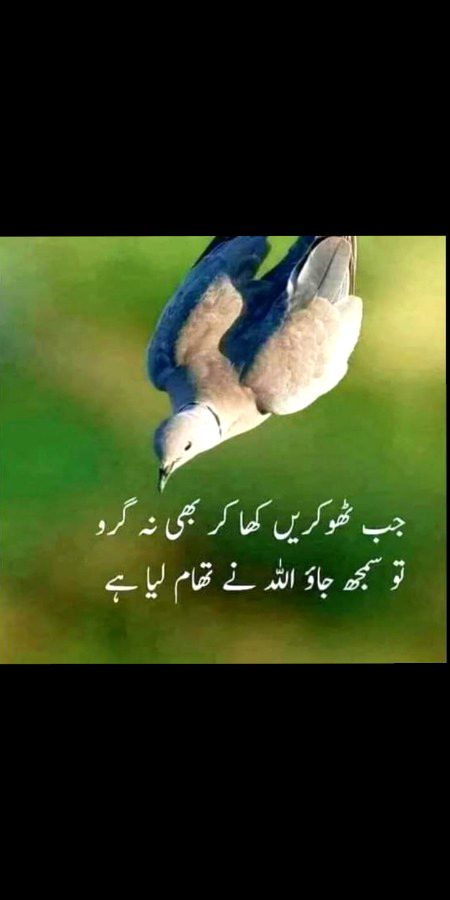 Islamic Quotes image