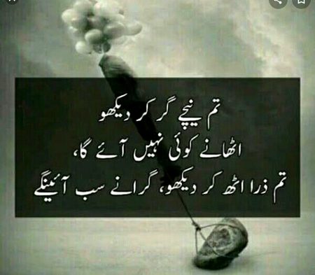 True lines...