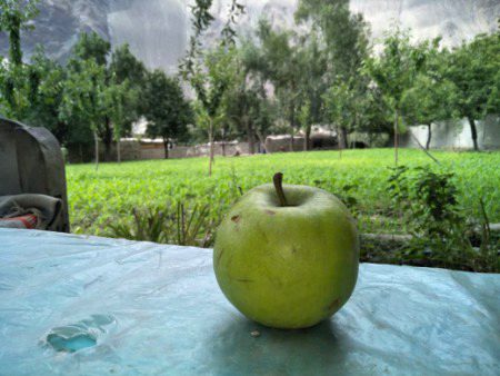 🍏DAY...
