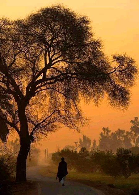 Beautiful Nature image
