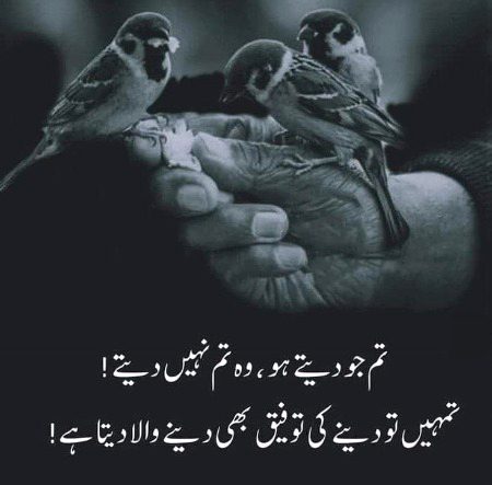 Beshak