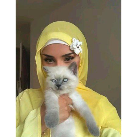 اُڑایا گیا جب ہماری اچھائی کا مذاق 
پھر ہم برے بنے اور انتہا کے بنے 🧿🌻