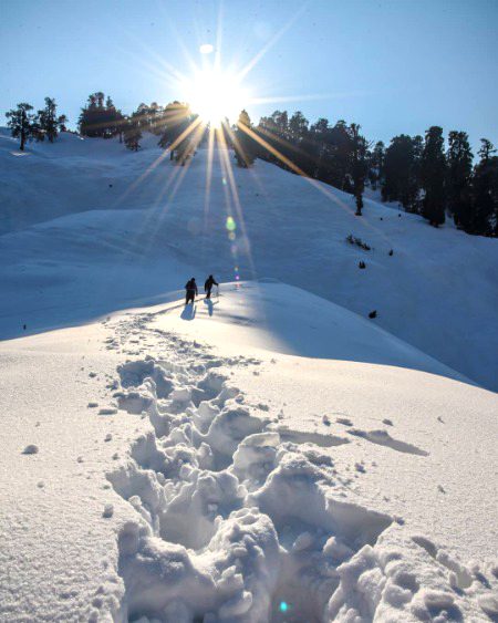 Beautiful Nature image