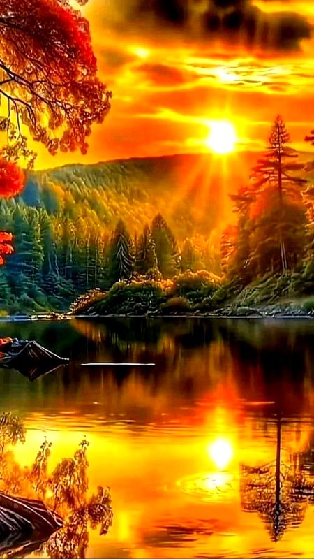 Beautiful Nature image