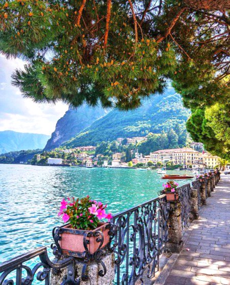 Beautiful Nature image