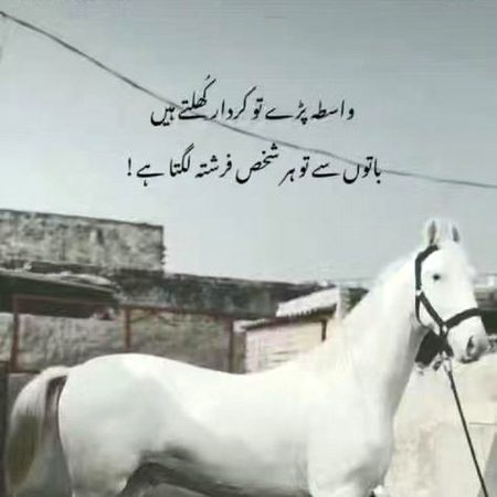 Like bk bhi kiya kro yar