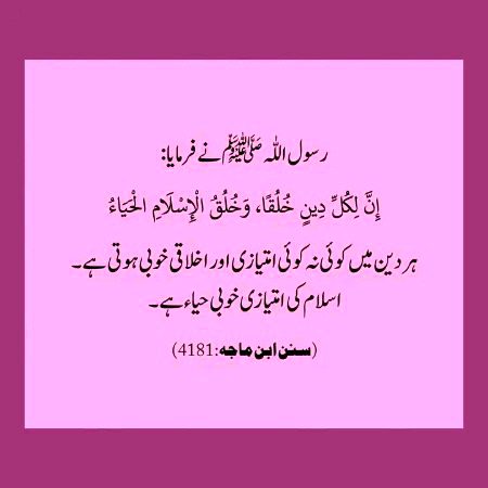 Islamic Quotes image