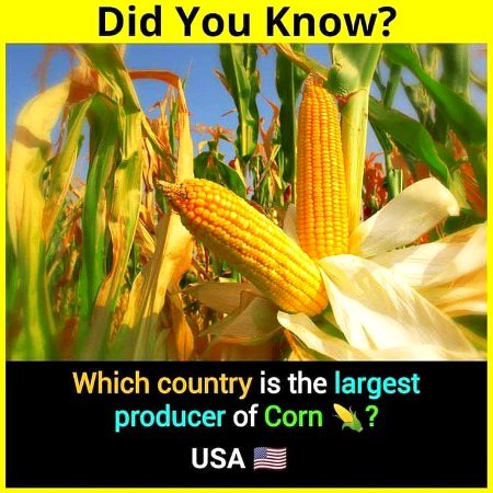 Knowledge Test image