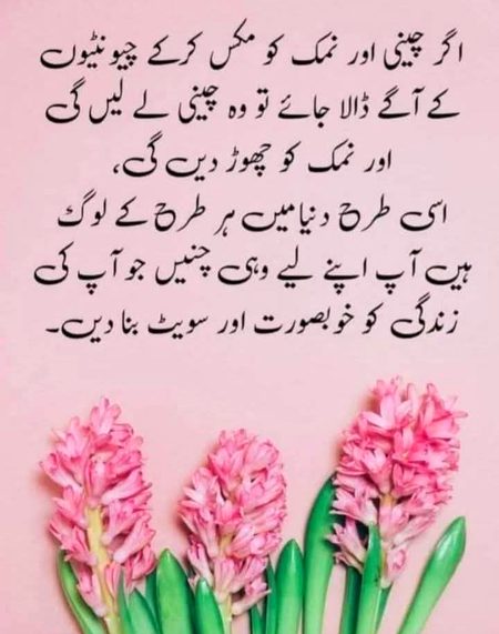 اگر چینی اور نمک کو مکس کریں تو 🤔