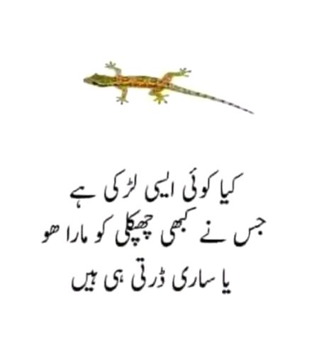 Memes & Satire image