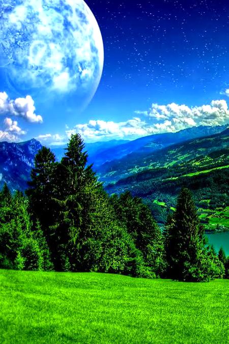 Beautiful Nature image