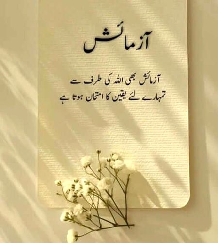 Beshak🌹🌹