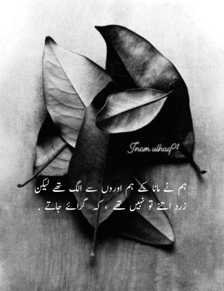 Attitude Poetry image