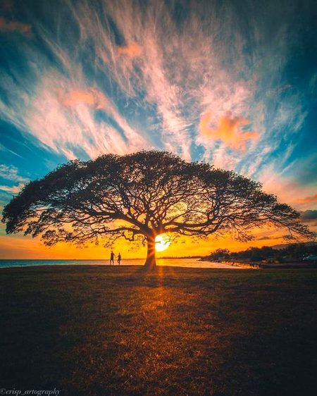 Beautiful Nature image