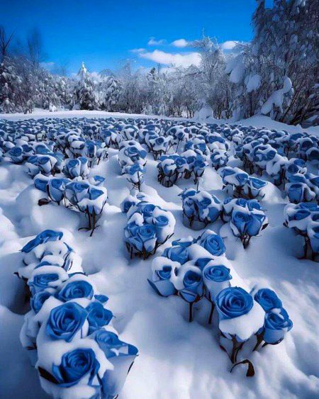 Beautiful Nature image