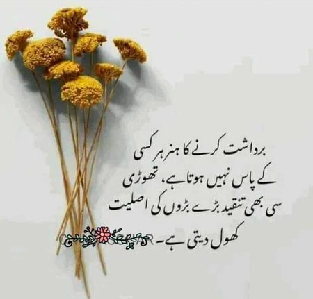 Attitude Quotes image